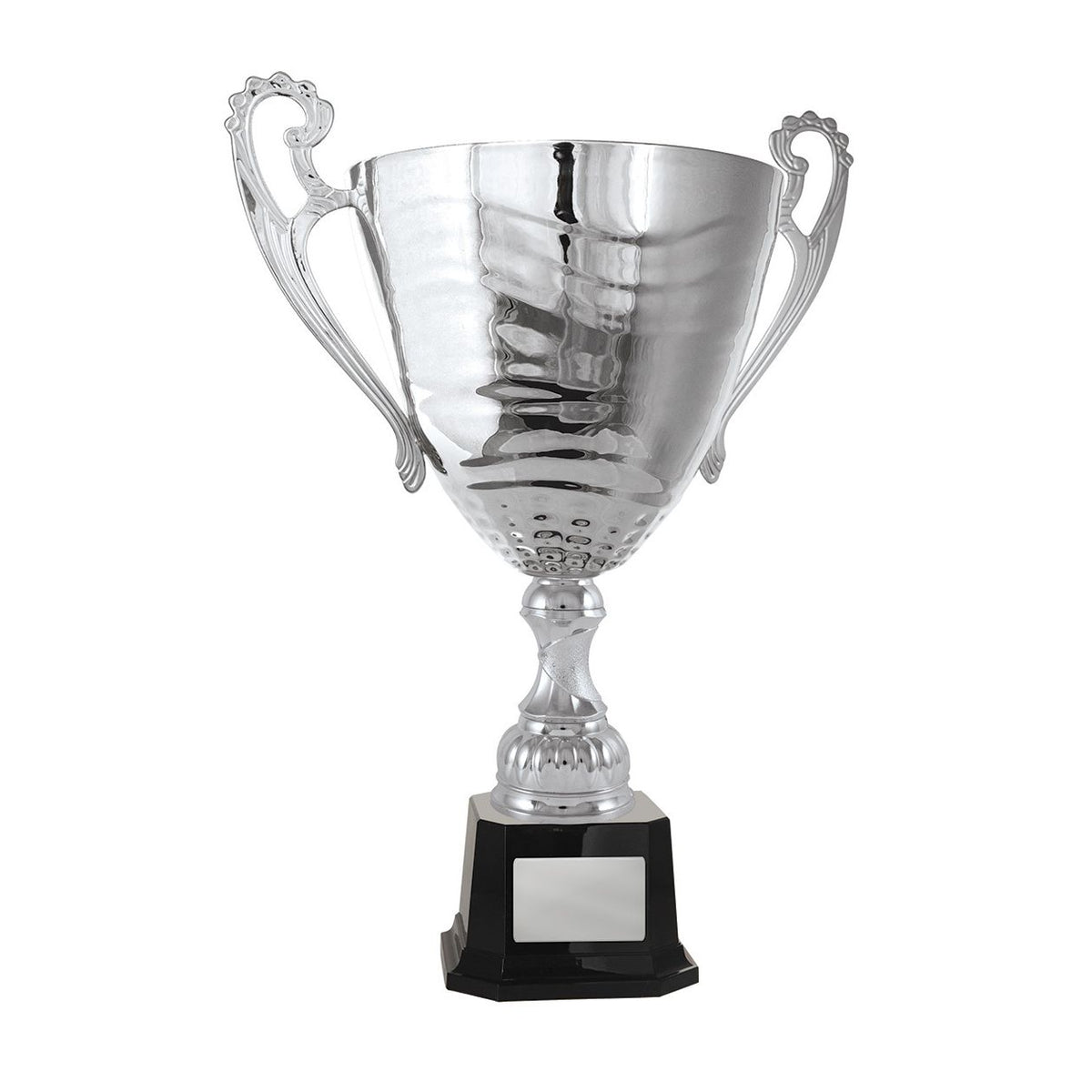 Fathers Day Classic Cup Trophy - Silver