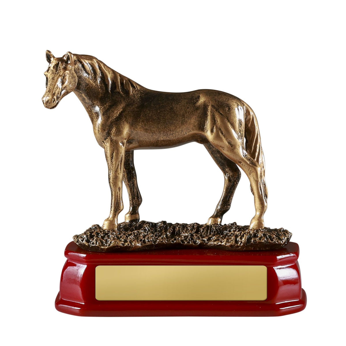 Horse Standing