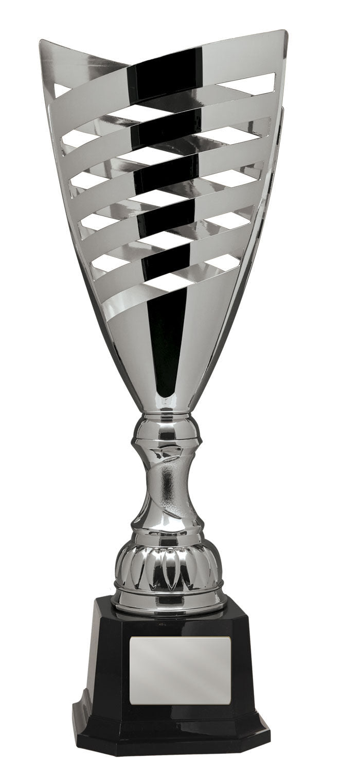 Fathers Day Champion Trophy Cup - SILVER