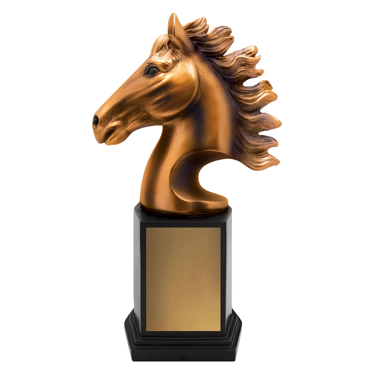 Horse Zenith Award