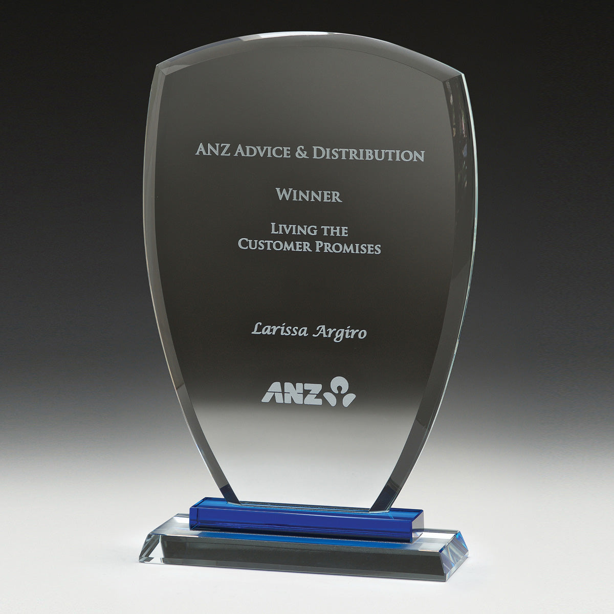 GB390S Blue Shield Award