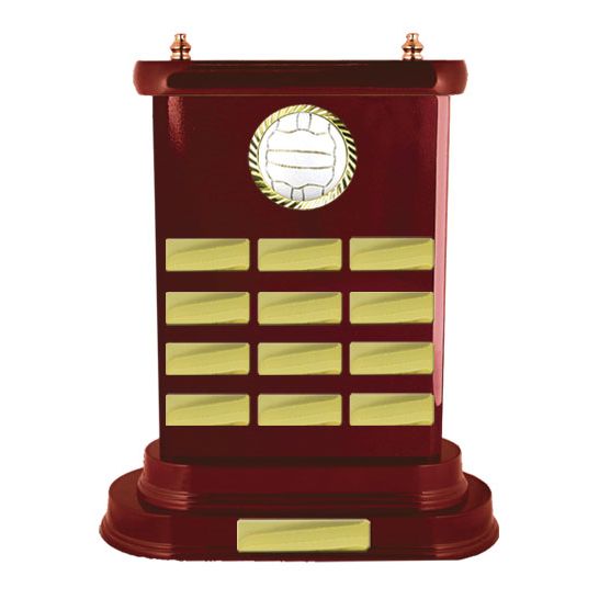 Netball Perpetual Trophy - Woodgrain