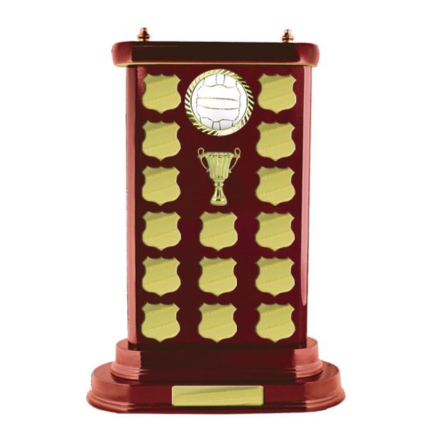 Netball Perpetual Trophy - Woodgrain N17-2906