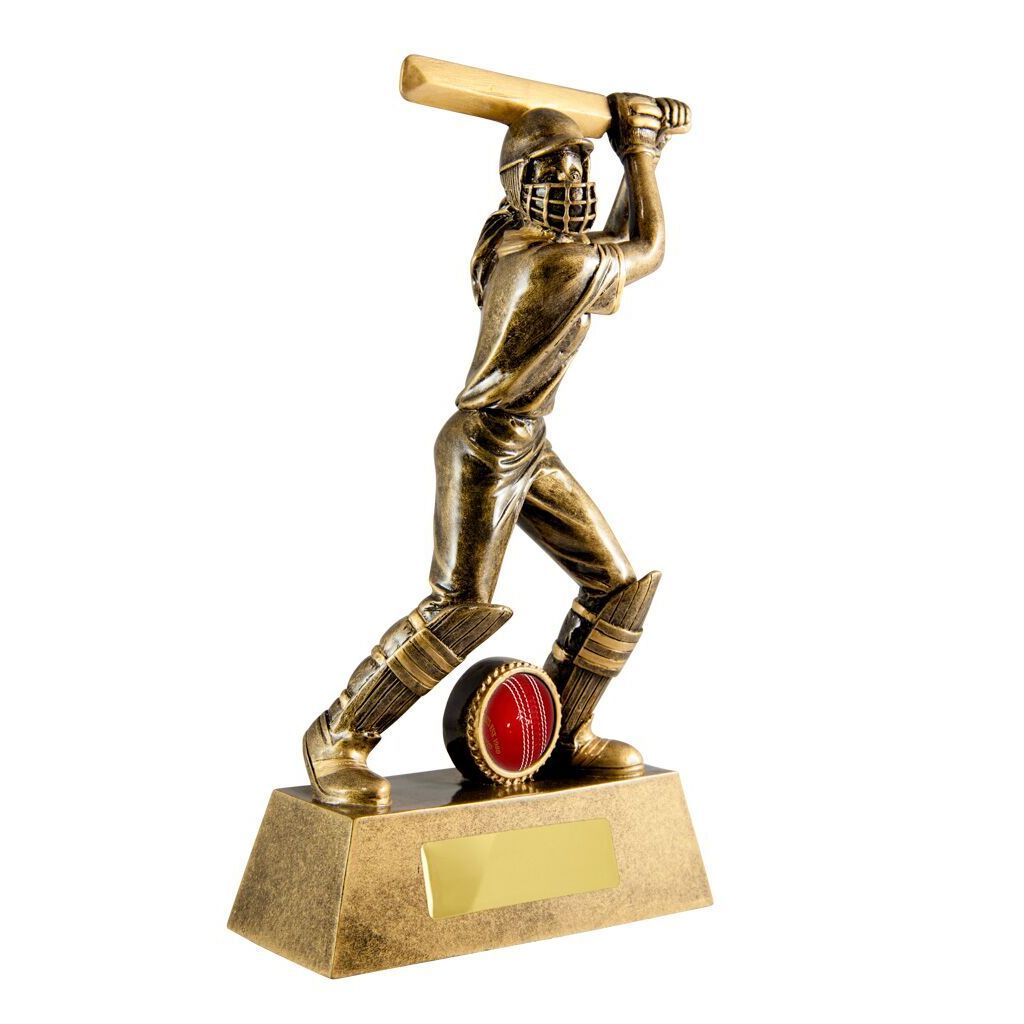 All Action Series - Female Batsman
