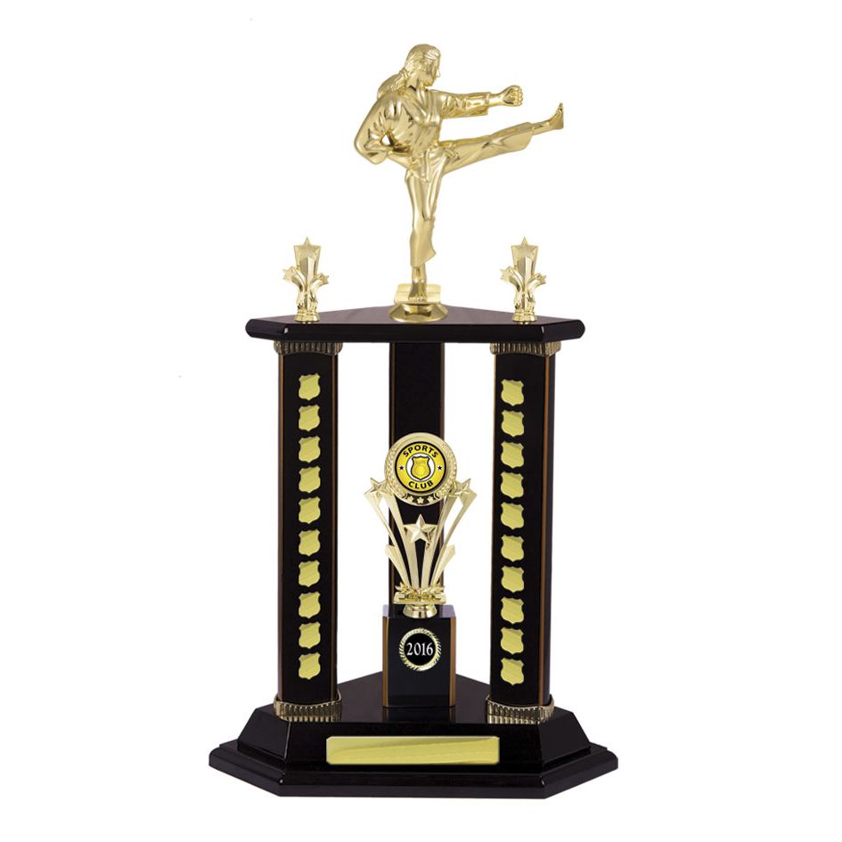 Judo Perpetual Stand Trophy - Dark Rosewood - W17-3822