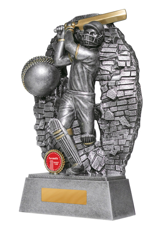 Breaking Down Barriers-Batter Male cricket trophy