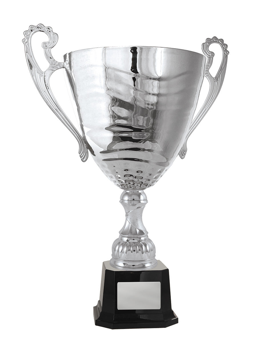 Fathers Day Classic Cup Trophy - Silver