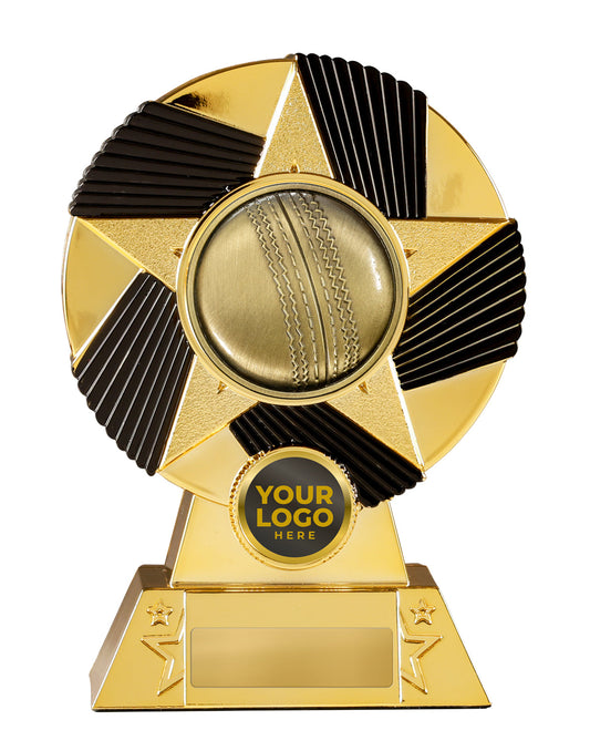 Sunray Series-Cricket cricket trophy