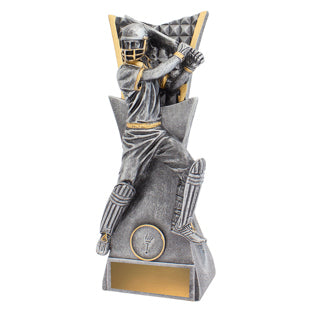 Vanguard Batting cricket trophy