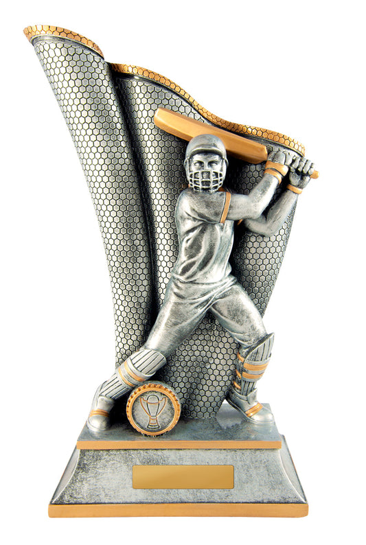 Wave Batsman Male cricket trophy