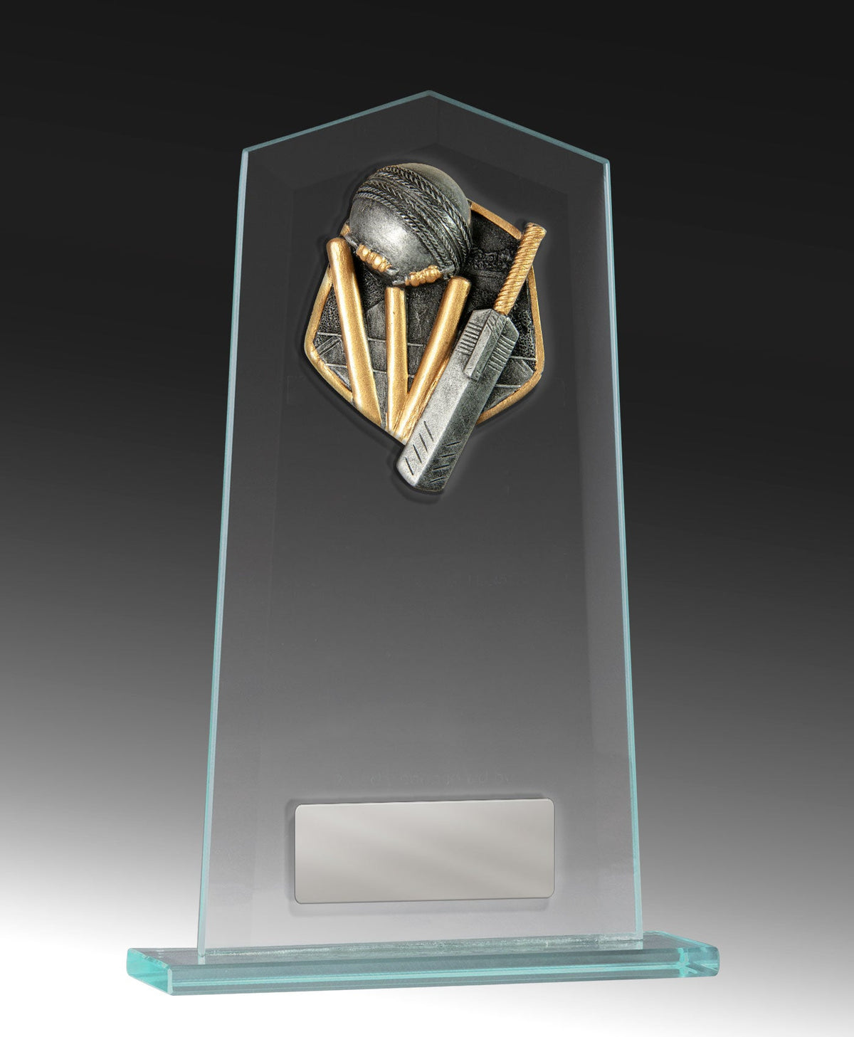 Budget Glass - Cricket cricket trophy