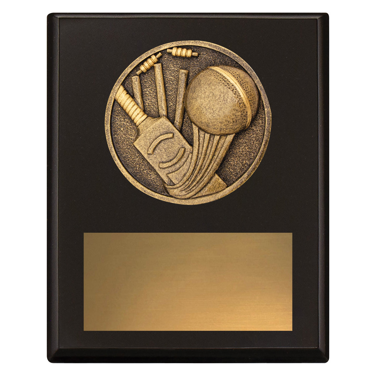 Challenge Plaque - Cricket