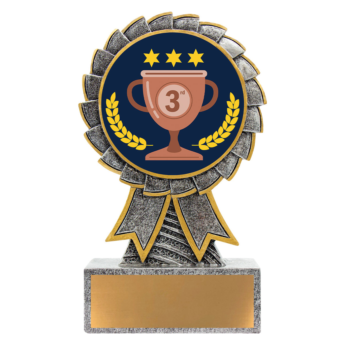 Aster - 3rd Place