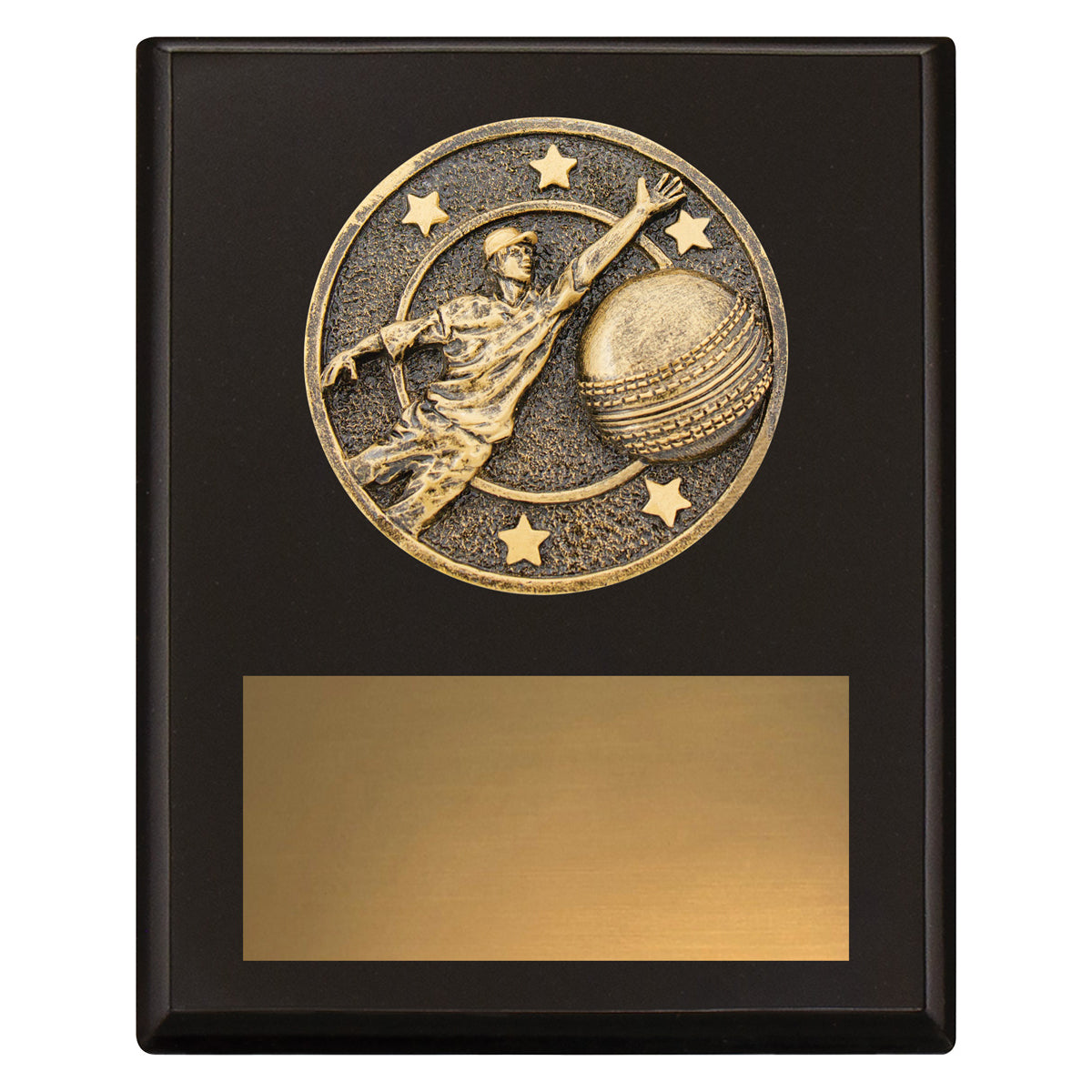 Challenge Plaque - Fielding