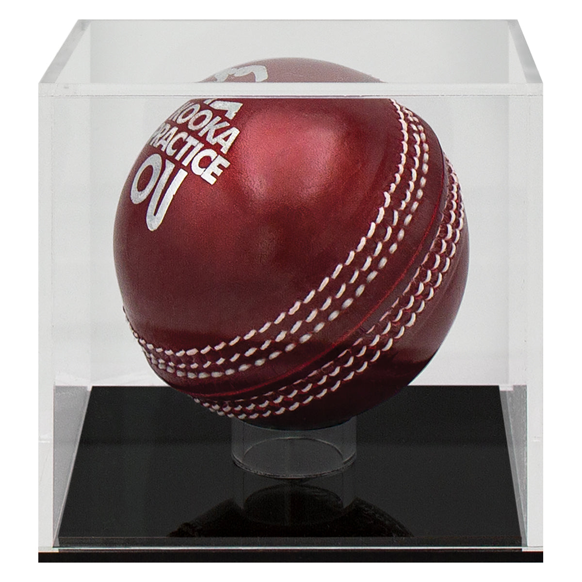 Cricket Ball Case
