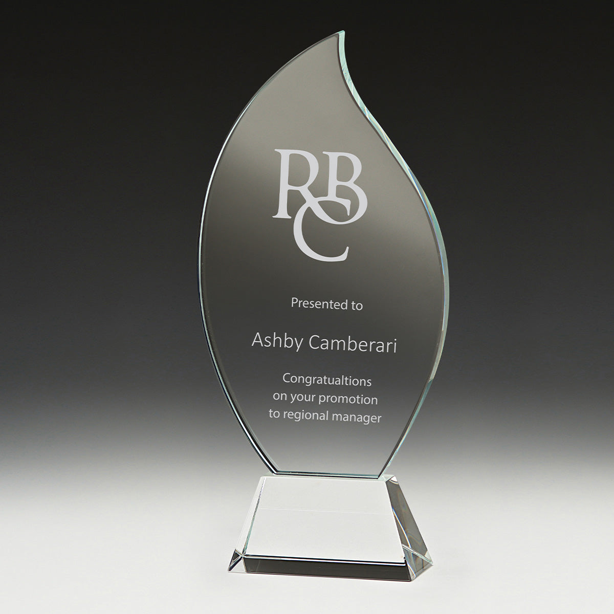 CT586A Levity Award