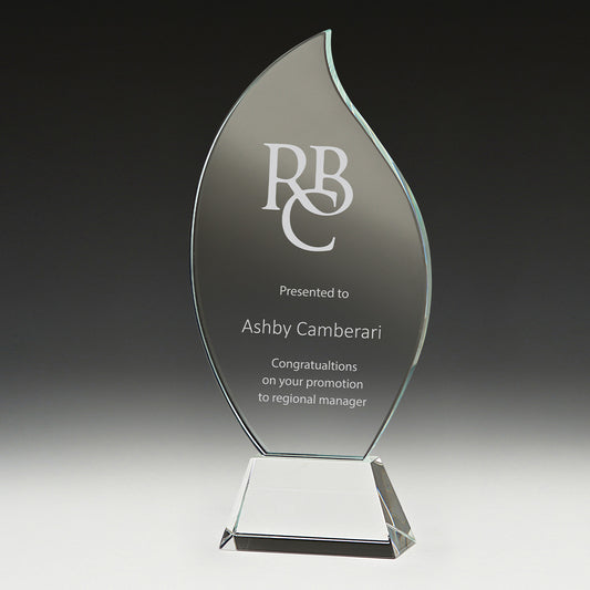 CT586A Levity Award
