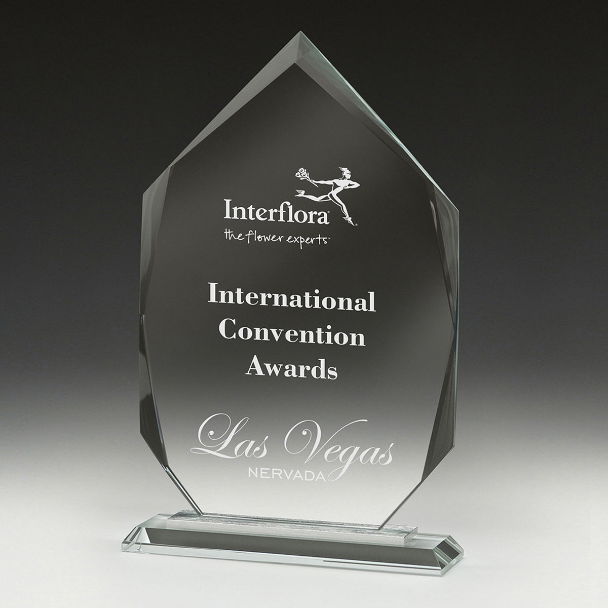 CT630S Integrity Arrowhead