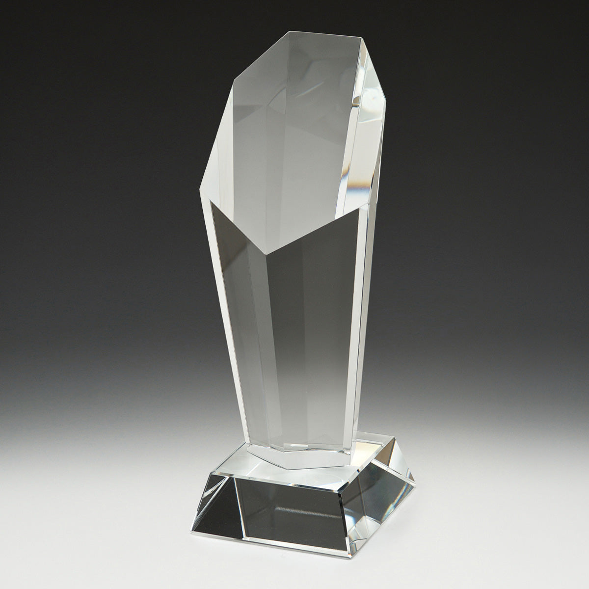 CY1003 Endurance Award