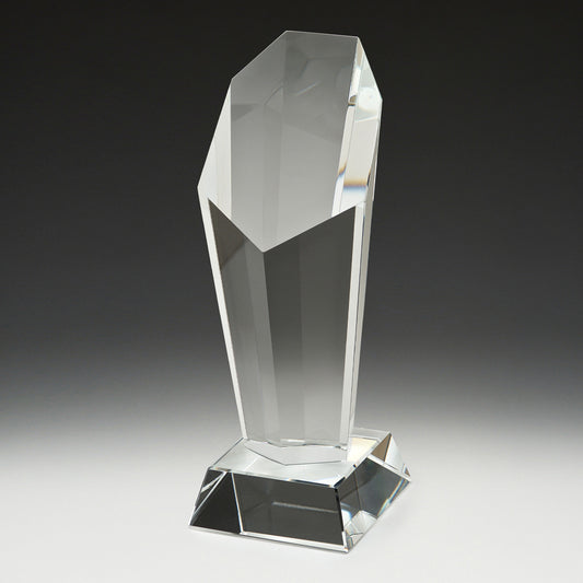 CY1003 Endurance Award