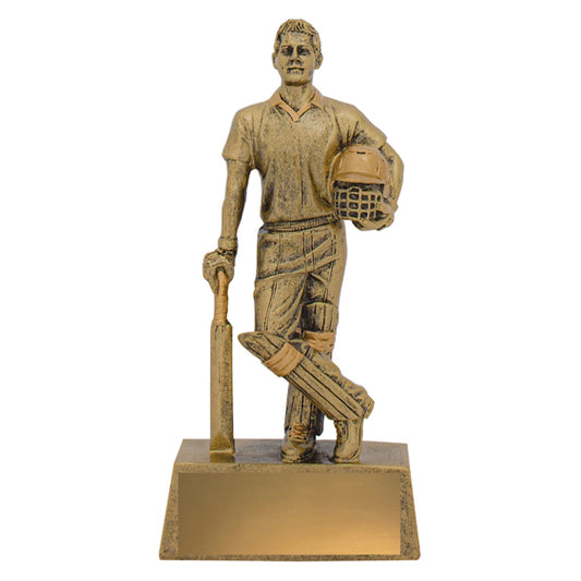 Hero Batsman cricket trophy