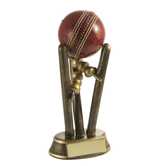 Cricket Ball Holder (Ball Not Included)