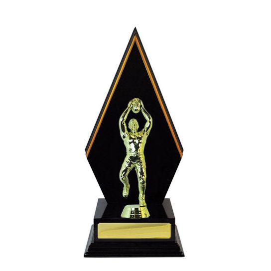 Arrow Backstand Timber Trophy