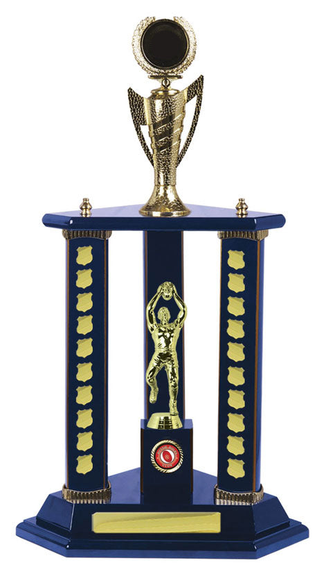 Three Poster Perpetual Trophy