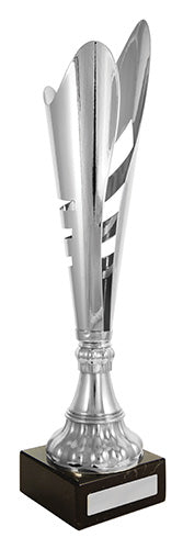 Curva Cup Series - Silver