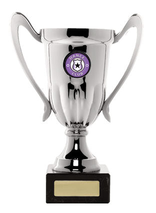 Silver Cup on Base - Series B - D17-1718 - 195mm