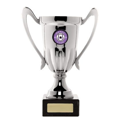 Silver Cup on Base - Series B - D17-1718 - 195mm