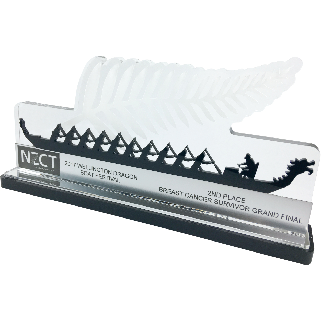 Dragon Boat Racing Example