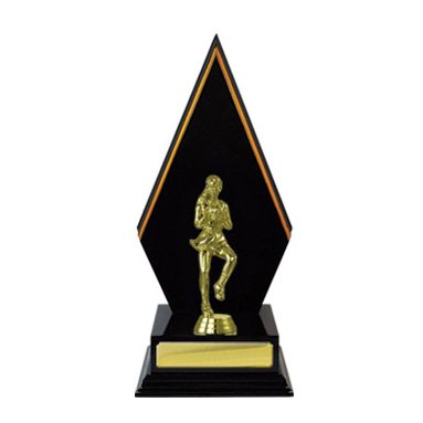 Arrow Backstand Timber Trophy