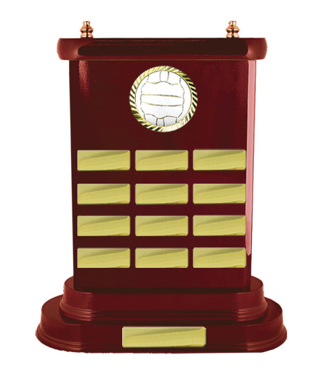 Netball Perpetual Trophy - Woodgrain