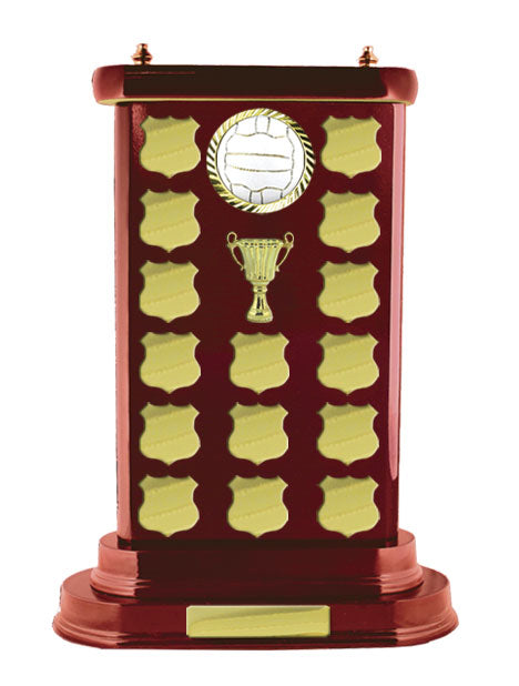 Netball Perpetual Trophy - Woodgrain N17-2906