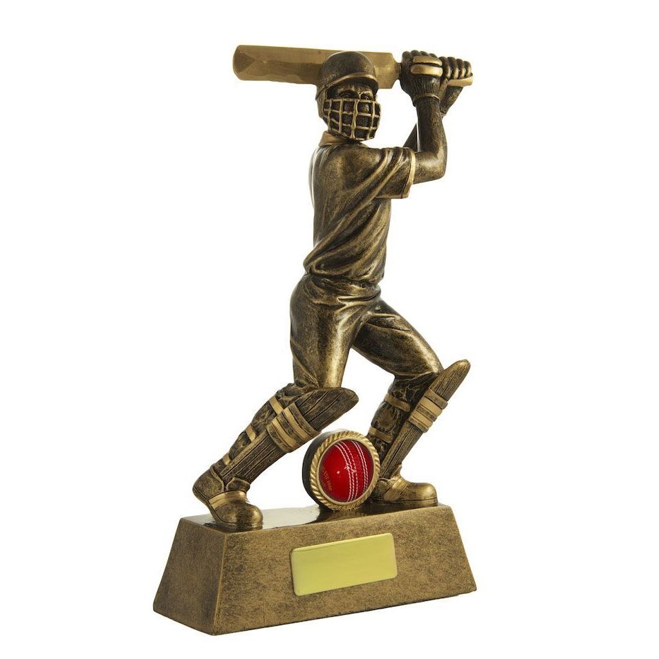 All Action Series - Male Batsman